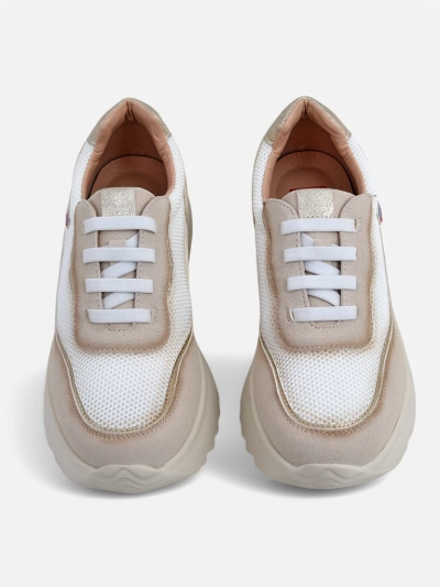 Royalfashion Женски маратонки Zarrni